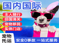 张掖甘州航空货运国际宠物托运 【国